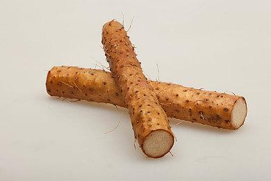 漫画风平台冒险游戏《神探狗狗：爪不可及》现已正式推出